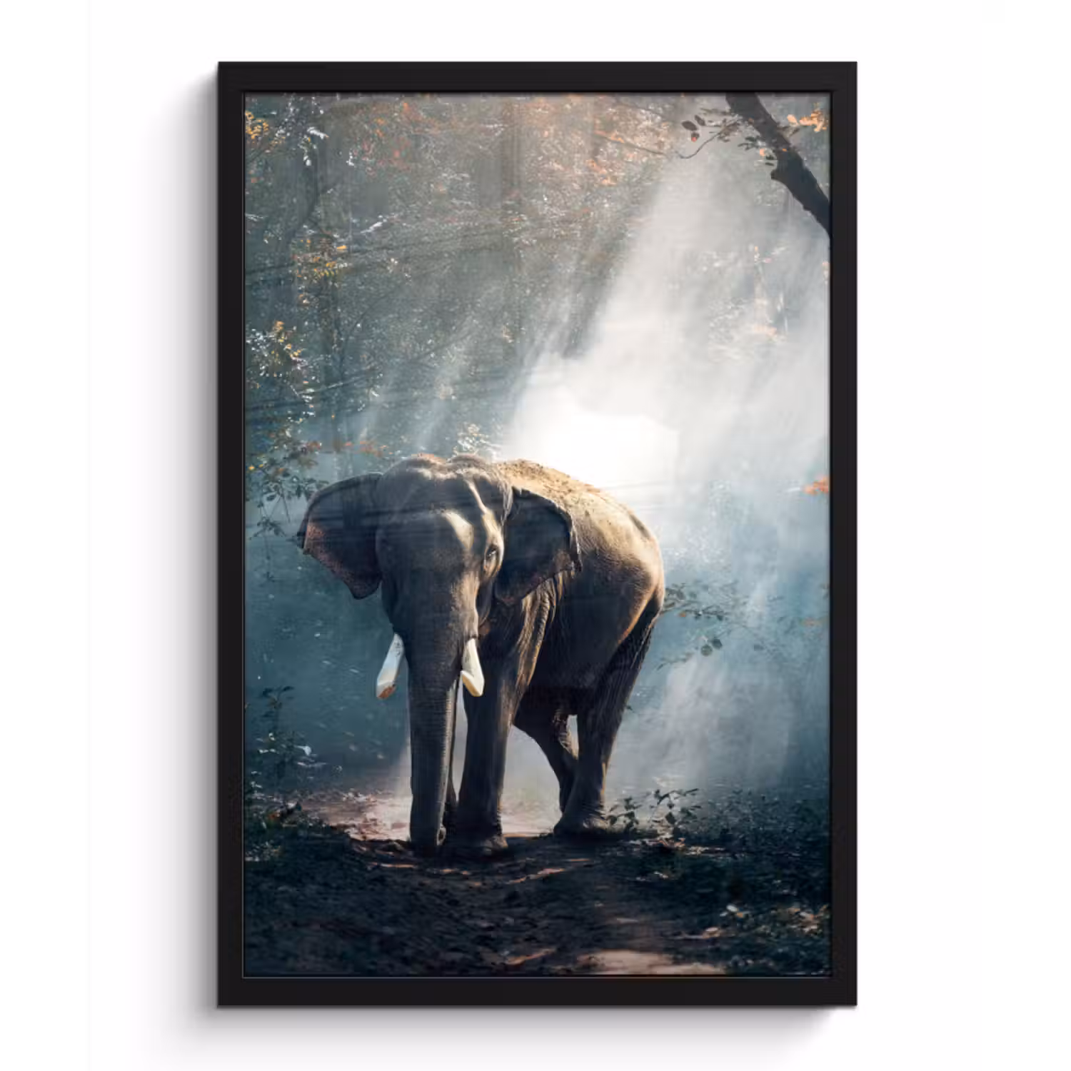 Poster met lijst - Olifant - Dieren - Licht - Bos - Natuur - Wilde dieren