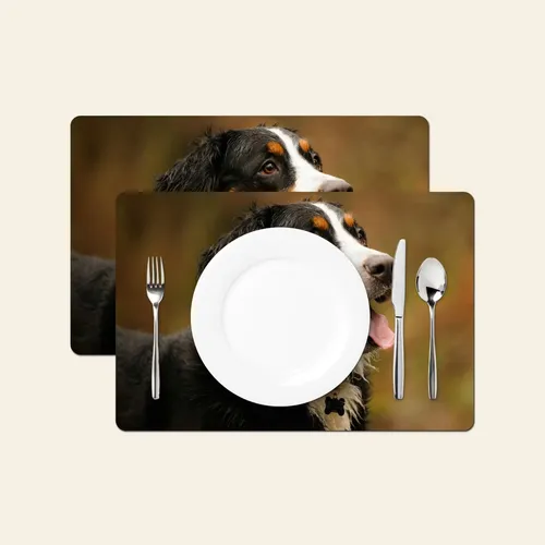 Placemat