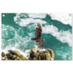 Dieren - Roofvogels - Water tuinposter los doek klein -3d