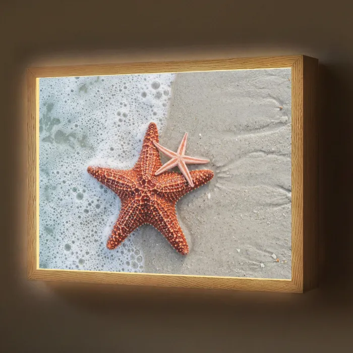 Zeester - Strand - Zee Light Box met batterij (Wandlamp) middel -z3d_website