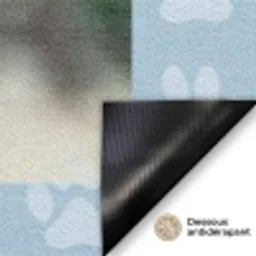 Pootjes - Achtergrond Deurmat klein -antislip_FR