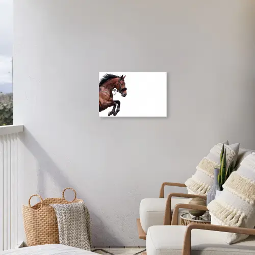 Paard - Springen - Modern Tuinposter op houten frame 2 cm dik klein -sfeer1
