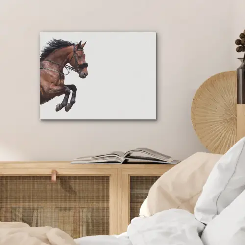 Paard - Springen - Modern PET vilt klein -sfeer3