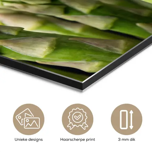 Asperges - Groen - Zwart aluminium wit klein -closeup_NL