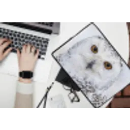 Sneeuwuil - Oog - Wildlife - Wit laptophoes neopreen klein -bureau
