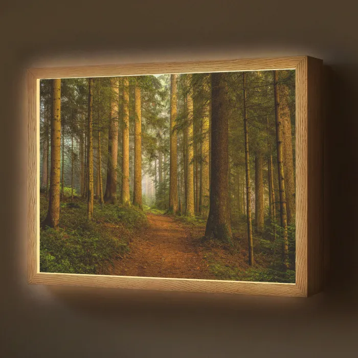 Bos - Natuur - Bomen - Landschap - Bladeren Light Box met batterij (Wandlamp) middel -z3d_website