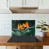 Paradijsvogel - Bloem - Exotisch keuken achterwand spatscherm klein -sfeer2