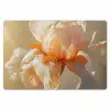 Close up - Oranje - Iris Placemat vinyl groot -zzsfeer1_Kitchenyeah-website