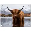 Schotse hooglander - Bruin - Water tuinposter los doek klein -3d