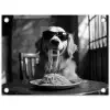 Golden Retriever - Hond - Vrolijk -  Bord spaghetti - Zwart - wit tuinposter los doek klein -3d