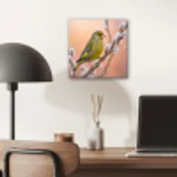 Groenling - Katjes - Lente - Natuur - Zacht aluminium wit klein -sfeer5