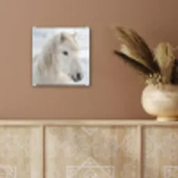 Paard - Kop - Winter - Dieren - Wit plexiglas 5mm klein -sfeer5