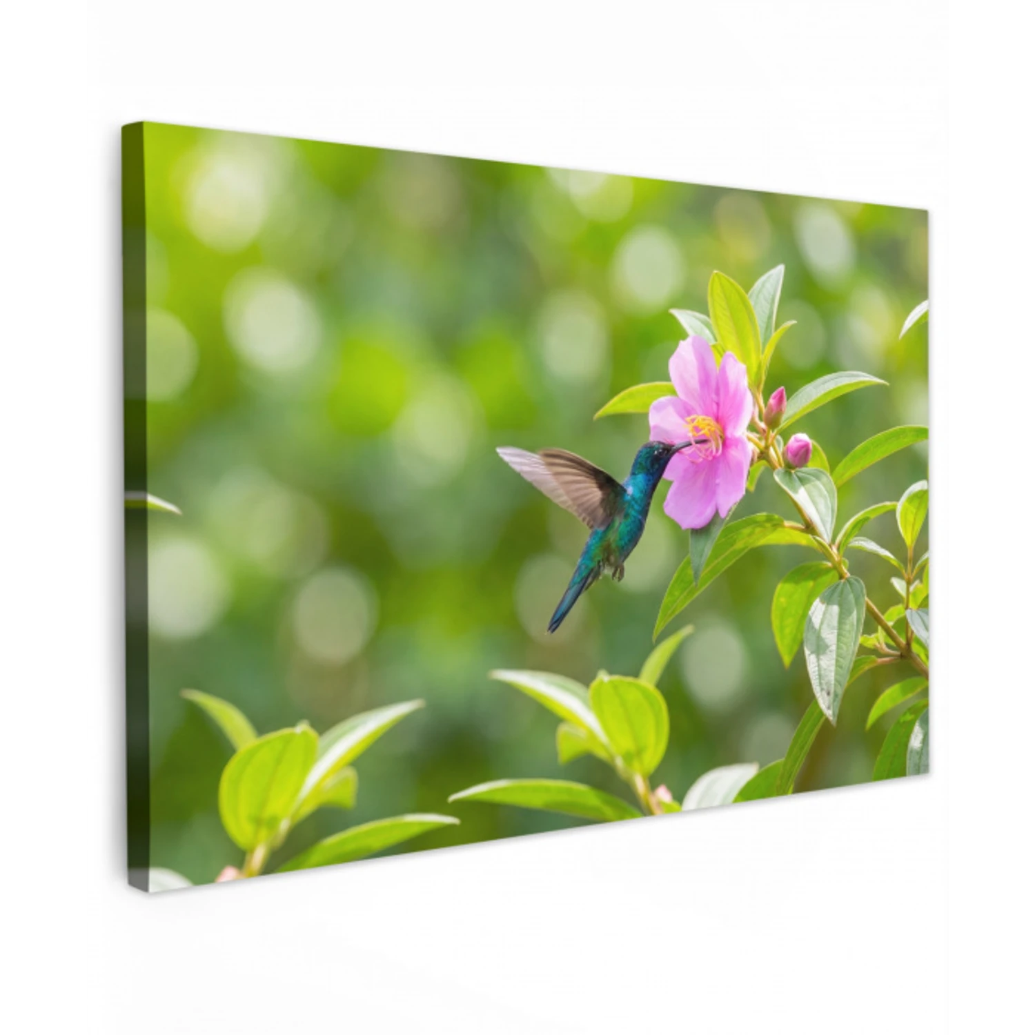Kolibrie - Bloem - Natuur - Groen canvas 2cm klein -z3d