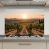 Wijngaard - Zonsondergang - Landschap keuken achterwand spatscherm klein -3d_website