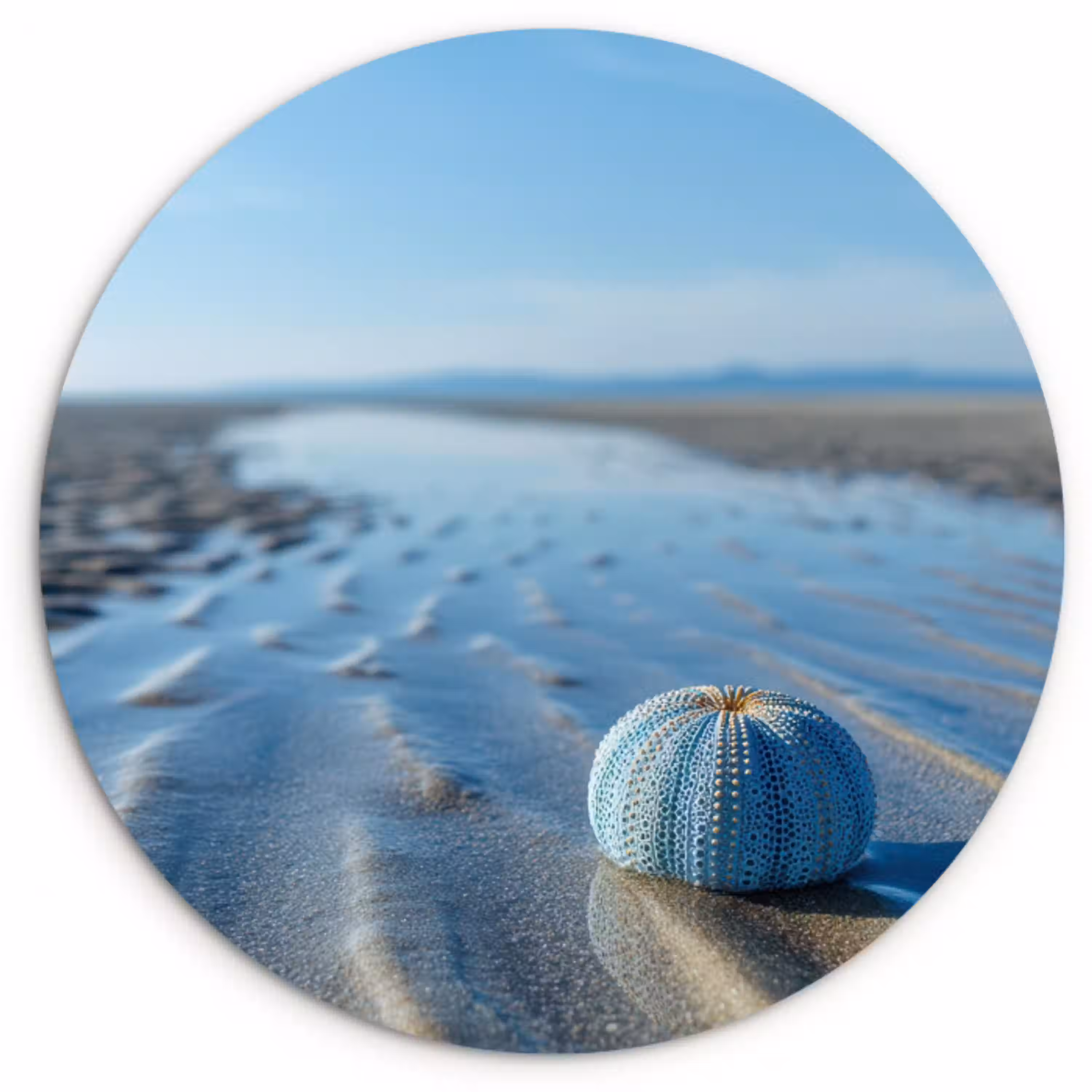 Strand - Schild - Water - Blauw Wandcirkel plexiglas klein -3d
