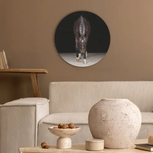 Paard - Modern - Portret Akoestische PET Vilt - Rond klein -sfeer1