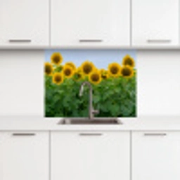 Zonnebloemen - Geel - Natuur keuken achterwand 2 middel -3d