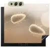 Hazestaartgras - Graanharen - Zonlicht Inductie beschemer met haakjes middel -3d