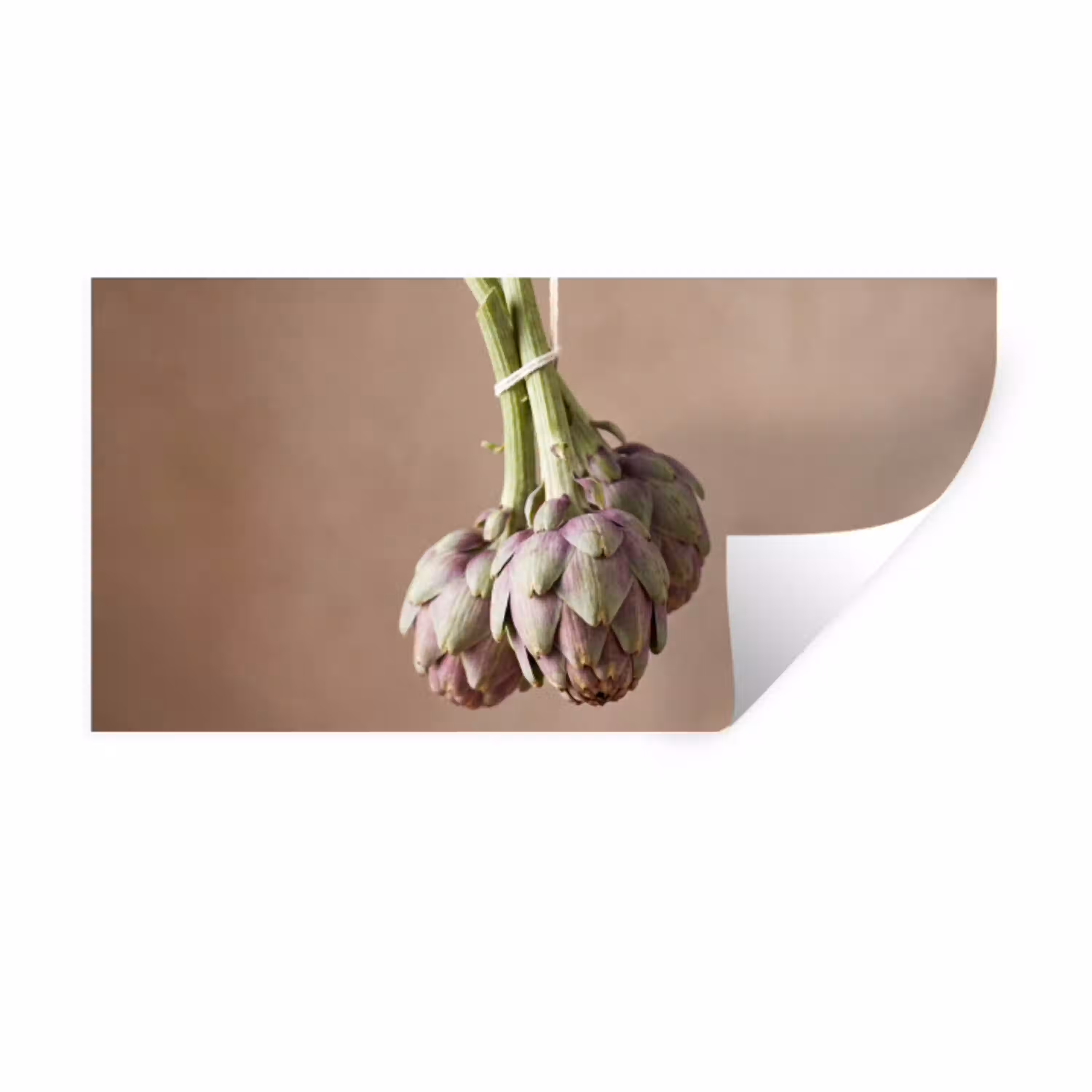 Artisjokken - Hangend - Groenten Muursticker klein -3d