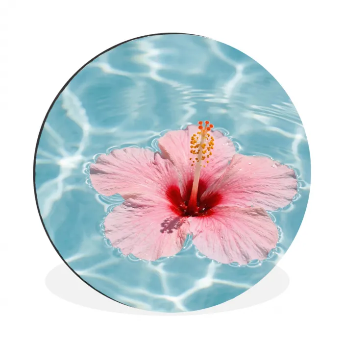 Hibiscus - Water - Roze Wandcirkel aluminium klein -3d