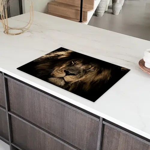 Gezicht van de Koninklijke Duisternis Inductie beschermer vinyl 3mm klein -sfeer8