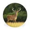 Hert - Gewei - Gras - Natuur - Dieren - Groen Wandcirkel aluminium klein -3d