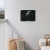Raaf - Vogels - Zwart tuinposter los doek klein -sfeer8