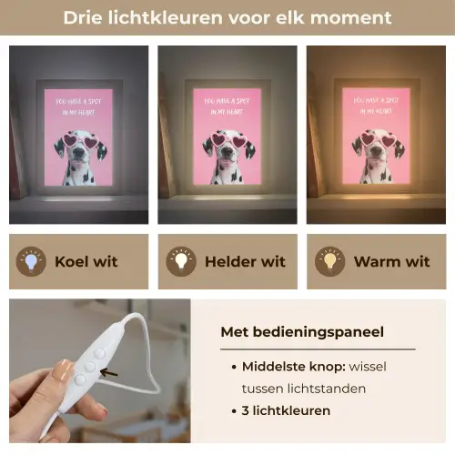 Hartjes - Hond - Valentijn - Roze Light Box met kabel (Wandlamp) klein -USP_lichtkleurNL