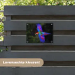 Felgekleurd - Papegaai - Bos - Vleugels tuinposter los doek klein -sfeer3