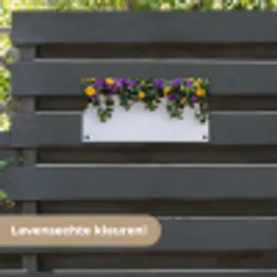 Bloemen - Muur - Geel - Paars tuinposter los doek klein -sfeer3