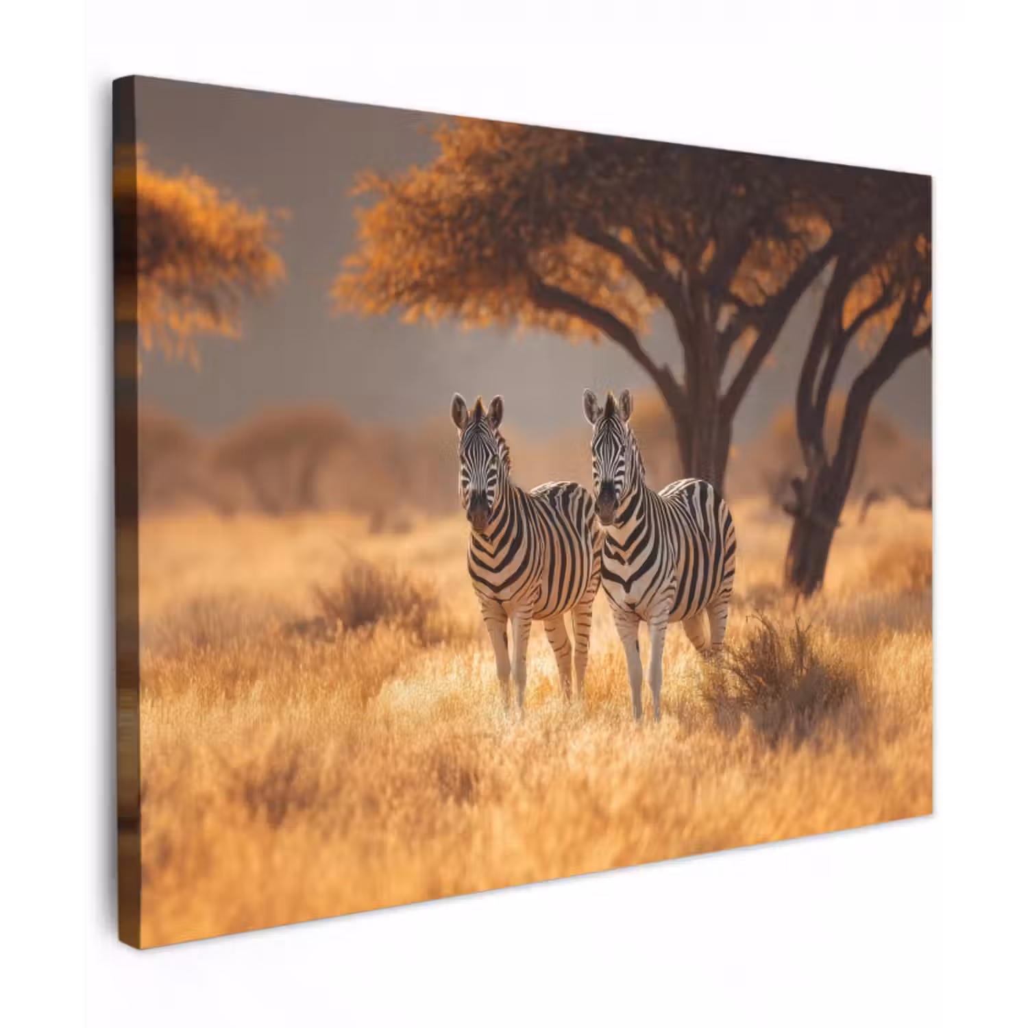 Leinwandbild - Zebras - Savannenlandschaft - Gras