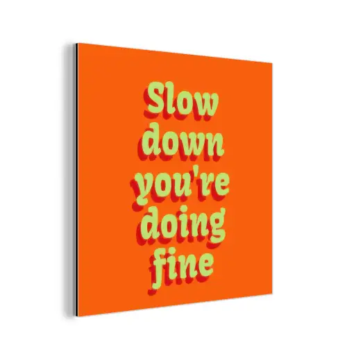Oranje - Slow down you're doing fine - Retro aluminium wit klein -3d