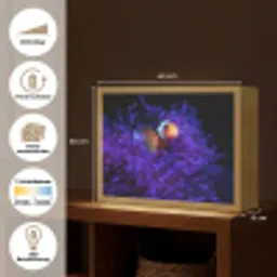 Koraal - Vis - Oranje - Zee Light Box met batterij (Wandlamp) middel -USP_websiteoverzichtDE