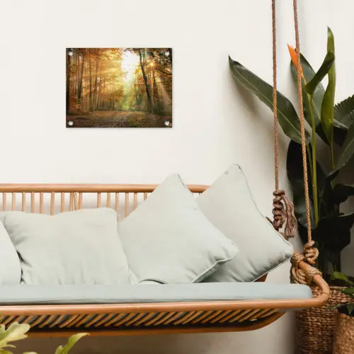 Herfstbos in gouden zonlicht tuinposter los doek klein -sfeer7