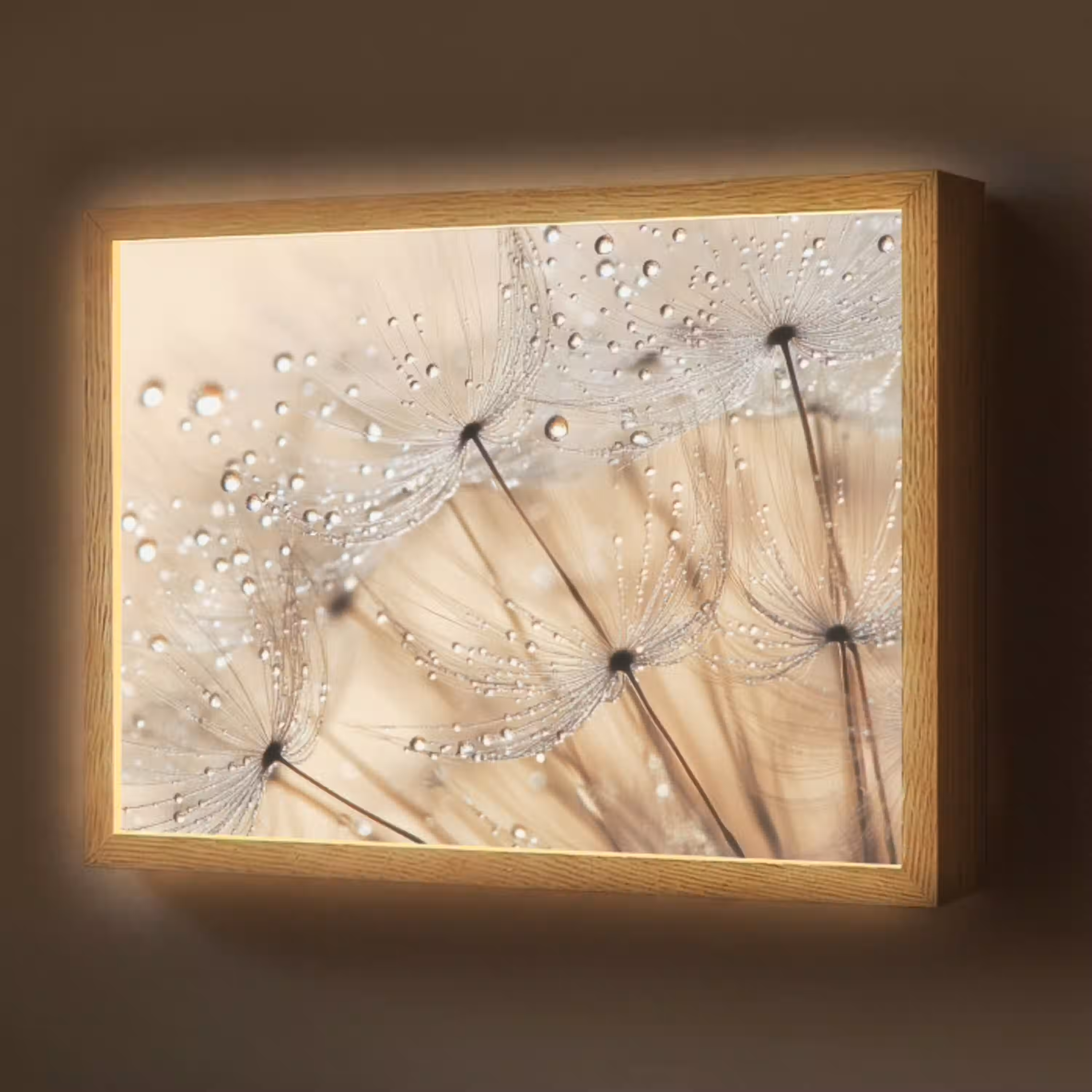Paardenbloem - Abstract - Natuur - Beige Light Box met batterij (Wandlamp) middel -z3d_website