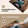 Schotse hooglander - Neus - Bruin Inductie beschemer met haakjes klein -ky-schoon-nl