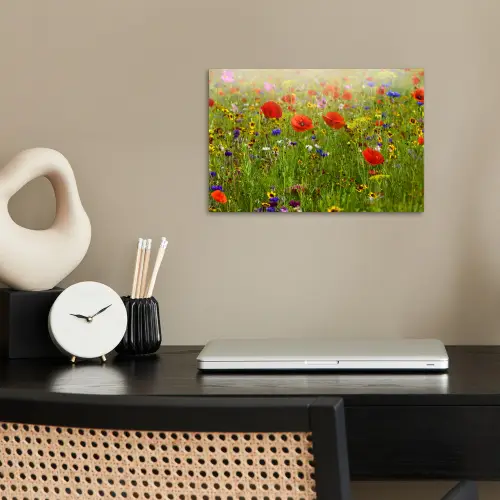Lente - Bloemen - Rood - Klaproos - Gras - Groen poster papier klein -sfeer1