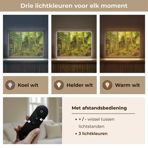 Bomen - Steen - Bos - Natuur - Planten Light Box met batterij (Wandlamp) middel -USP_lichtkleurNL