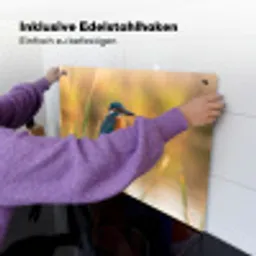 IJsvogel - Tak - Water - Kleurrijk - Levendig Inductie beschemer met haakjes klein -ky-ophangen-de
