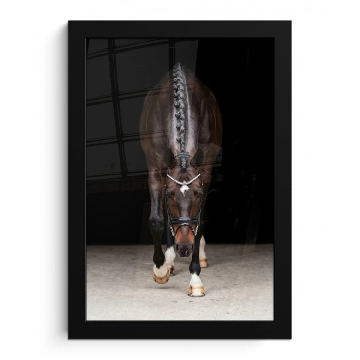 Paard - Modern - Portret fotolijst zwart zonder passe partout klein -3d