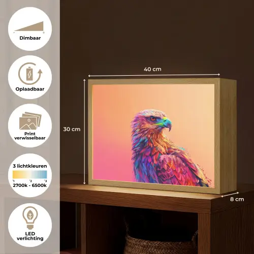 Arend - Vogel - Kleurrijk - Dier Light Box met batterij (Wandlamp kind) middel -USP_websiteoverzichtNL