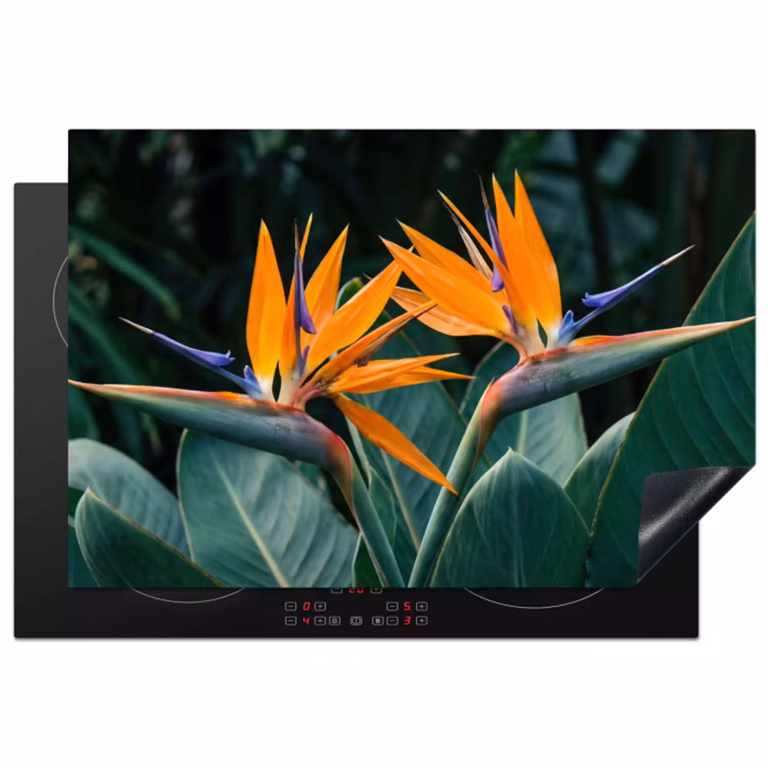Paradijsvogel - Bloem - Exotisch Inductie beschermer vinyl 3mm klein -3d