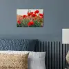 Klaproos - Bloemen - Rood - Paars - Weide poster papier klein -sfeer2