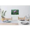 Aster - Paars - Bloem - Blaadjes Muursticker klein -eettafel