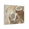 Kokosnoot - Water - Beige - Spetters PET vilt klein -3d