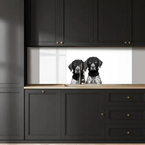 Honden - Bivakmuts - Zwart - wit keuken achterwand 2 middel -sfeer1