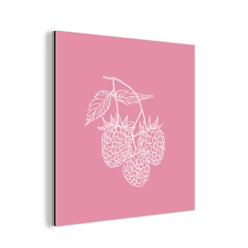 Frambozen - Steel - Getekend - Roze aluminium wit klein -3d