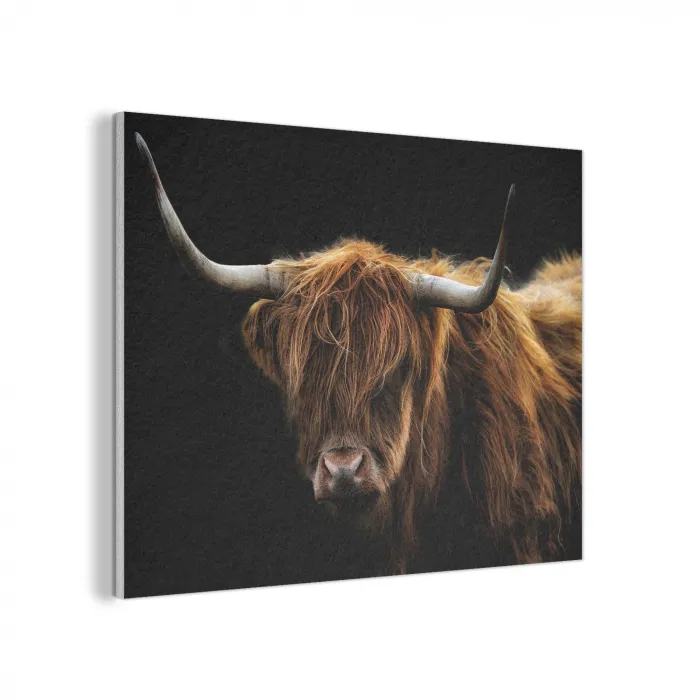 Schotse Hooglander - Horens - Zwart - Dieren - Natuur - Wild - Koe PET vilt klein -3d