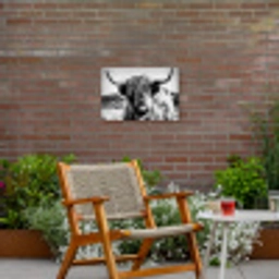 Schotse hooglander - Natuur - Koe - Zwart - Wit Tuinposter op houten frame 2 cm dik klein -sfeer3