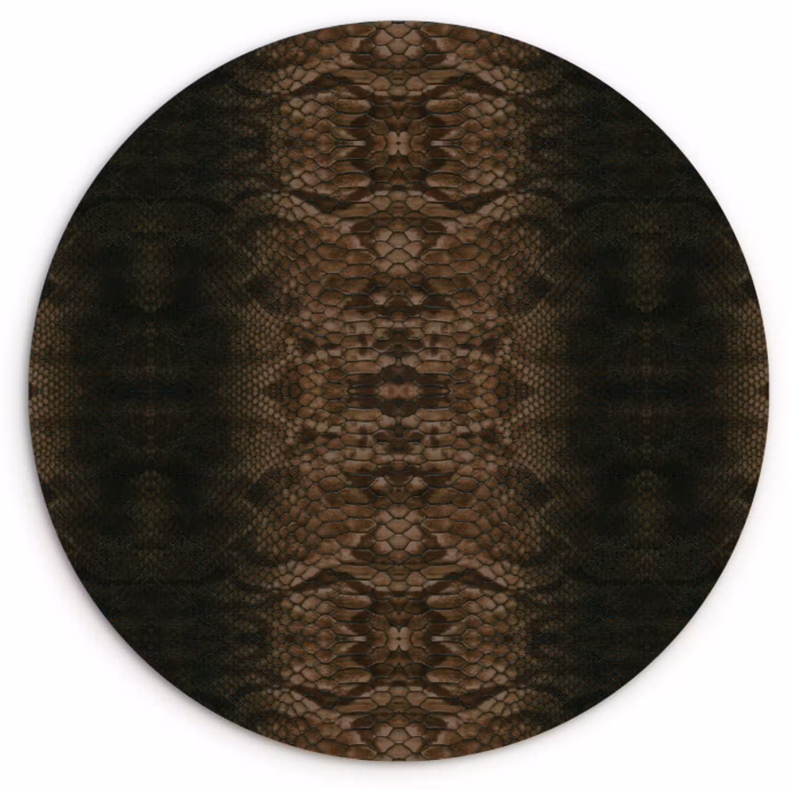 Slang - Boa - Donker - Bruin Wandcirkel plexiglas klein 852 -3d